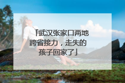 武汉张家口两地跨省接力，走失的孩子回家了