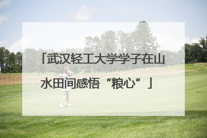 武汉轻工大学学子在山水田间感悟“粮心”