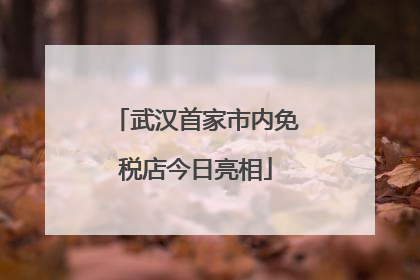 武汉首家市内免税店今日亮相