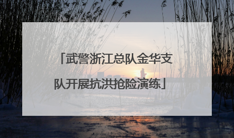 武警浙江总队金华支队开展抗洪抢险演练