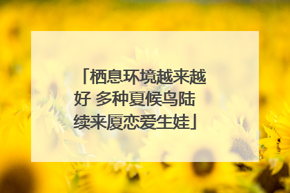 栖息环境越来越好 多种夏候鸟陆续来厦恋爱生娃