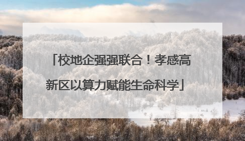 校地企强强联合！孝感高新区以算力赋能生命科学