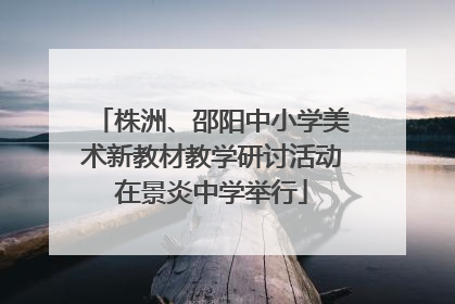 株洲、邵阳中小学美术新教材教学研讨活动在景炎中学举行