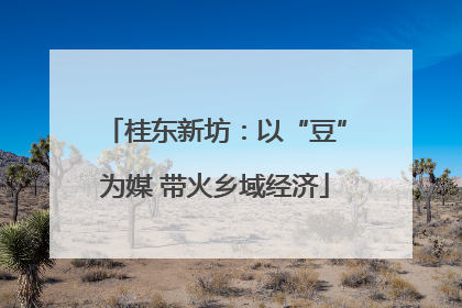 桂东新坊：以“豆”为媒 带火乡域经济