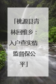 桃源县青林回维乡：入户查实情 监督保公平