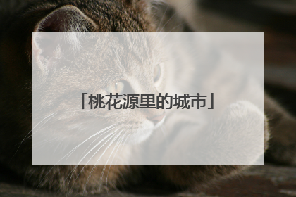 桃花源里的城市