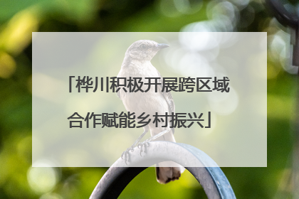 桦川积极开展跨区域合作赋能乡村振兴