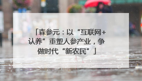 森参元：以“互联网+认养”重塑人参产业，争做时代“新农民”