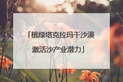植绿塔克拉玛干沙漠 激活沙产业潜力