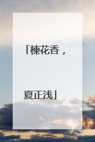 楝花香，夏正浅