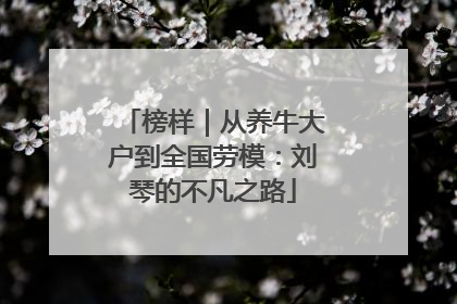榜样｜从养牛大户到全国劳模：刘琴的不凡之路