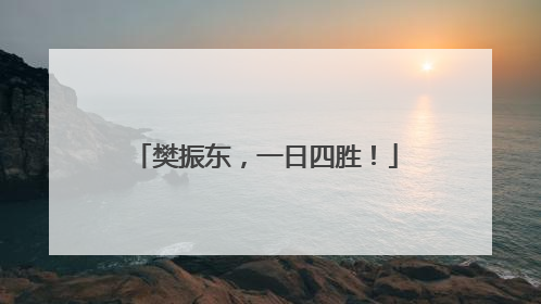 樊振东，一日四胜！