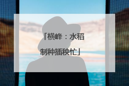 横峰：水稻制种插秧忙