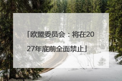 欧盟委员会：将在2027年底前全面禁止
