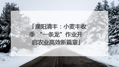 濮阳清丰：小麦丰收季 “一条龙”作业开启农业高效新篇章