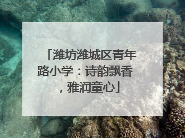 潍坊潍城区青年路小学：诗韵飘香，雅润童心