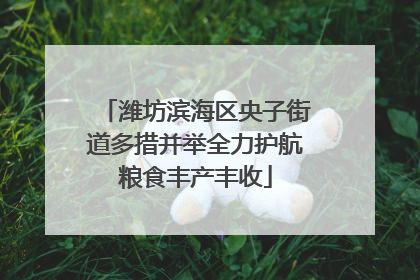 潍坊滨海区央子街道多措并举全力护航粮食丰产丰收