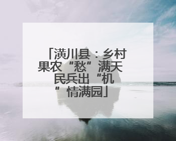 潢川县：乡村果农“愁”满天  民兵出“机”情满园
