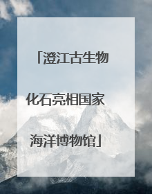 澄江古生物化石亮相国家海洋博物馆