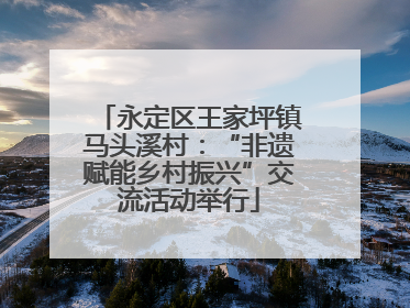 永定区王家坪镇马头溪村：“非遗赋能乡村振兴”交流活动举行