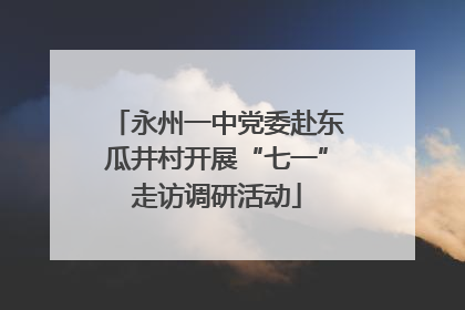 永州一中党委赴东瓜井村开展“七一”走访调研活动