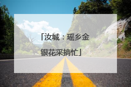 汝城：瑶乡金银花采摘忙
