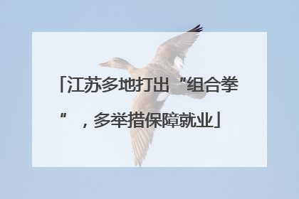 江苏多地打出“组合拳”，多举措保障就业