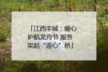 江西丰城：暖心护航龙舟节 服务架起“连心”桥