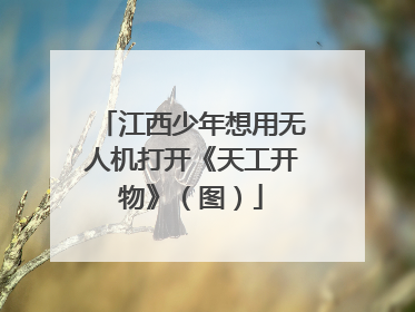 江西少年想用无人机打开《天工开物》（图）