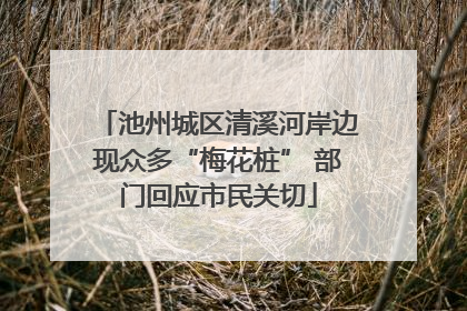 池州城区清溪河岸边现众多“梅花桩” 部门回应市民关切