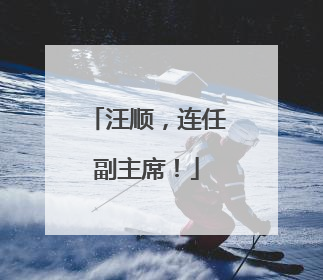汪顺，连任副主席！