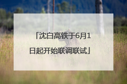 沈白高铁于6月1日起开始联调联试