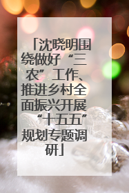 沈晓明围绕做好“三农”工作、推进乡村全面振兴开展“十五五”规划专题调研