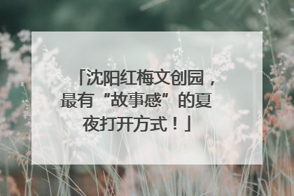 沈阳红梅文创园，最有“故事感”的夏夜打开方式！