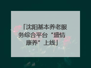 沈阳基本养老服务综合平台“盛情康养”上线