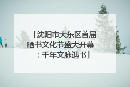 沈阳市大东区首届晒书文化节盛大开幕：千年文脉遇书