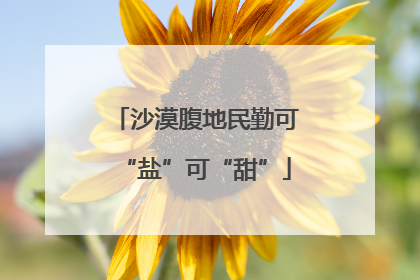 沙漠腹地民勤可“盐”可“甜”