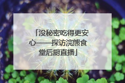 没秘密吃得更安心——探访浣熊食堂后厨直播