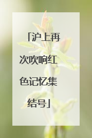 沪上再次吹响红色记忆集结号