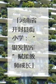 河南省开封县街小学：“银发智库”赋能教师成长