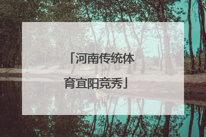 河南传统体育宜阳竞秀