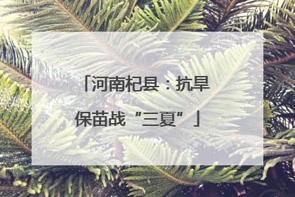 河南杞县：抗旱保苗战“三夏”