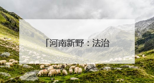 河南新野：法治护航润童心 家校共育筑未来