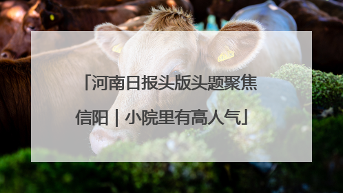 河南日报头版头题聚焦信阳｜小院里有高人气