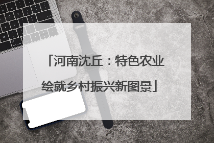 河南沈丘：特色农业绘就乡村振兴新图景