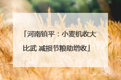 河南镇平：小麦机收大比武 减损节粮助增收