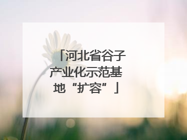 河北省谷子产业化示范基地“扩容”
