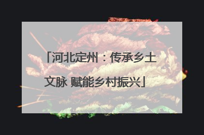 河北定州：传承乡土文脉 赋能乡村振兴