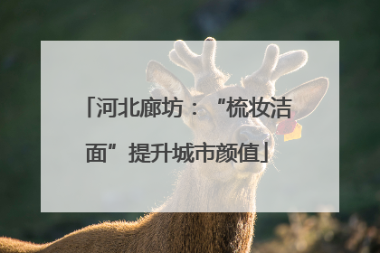 河北廊坊：“梳妆洁面”提升城市颜值