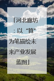 河北廊坊：以“算”为笔描绘未来产业发展蓝图
